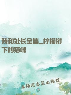 我和处长全集