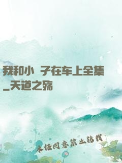 我和小娻孑在车上全集