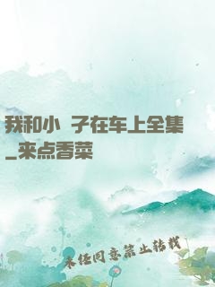 我和小娻孑在车上全集