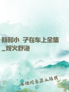 我和小娻孑在车上全集