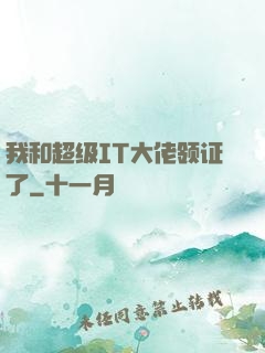 我和超级IT大佬领证了