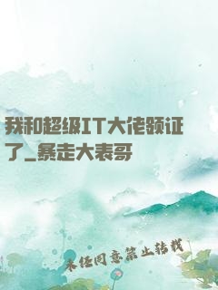 我和超级IT大佬领证了