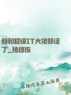 我和超级IT大佬领证了