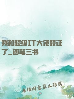 我和超级IT大佬领证了