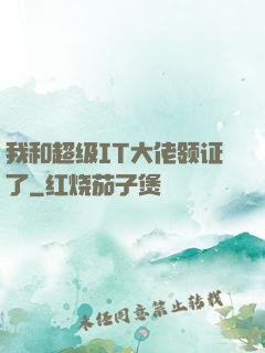我和超级IT大佬领证了
