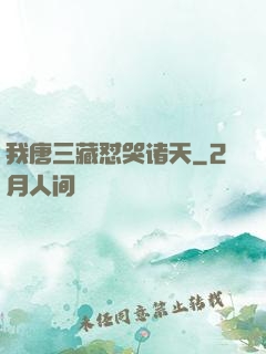 我唐三藏怼哭诸天