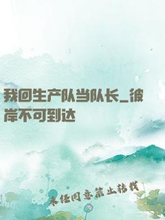 我回生产队当队长