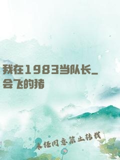 我在1983当队长