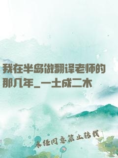 我在半岛做翻译老师的那几年