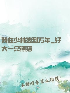 我在少林签到万年