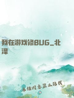 我在游戏修BUG