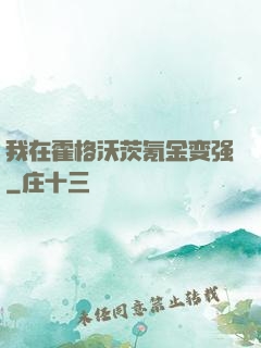 我在霍格沃茨氪金变强