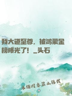 我大道至尊，被鸿蒙金榜曝光了！