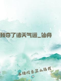 我夺了诸天气运