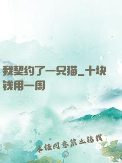 我契约了一只猫