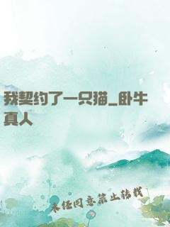 我契约了一只猫