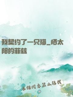 我契约了一只猫