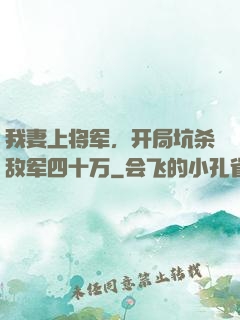 我妻上将军，开局坑杀敌军四十万