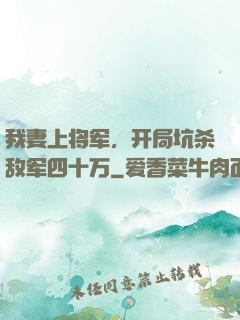 我妻上将军，开局坑杀敌军四十万