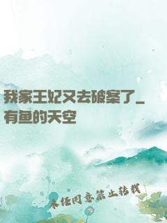 我家王妃又去破案了