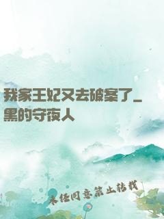 我家王妃又去破案了