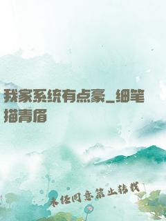 我家系统有点豪