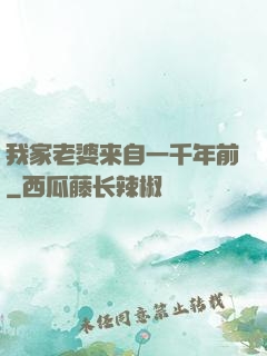 我家老婆来自一千年前
