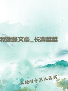 我就是文豪