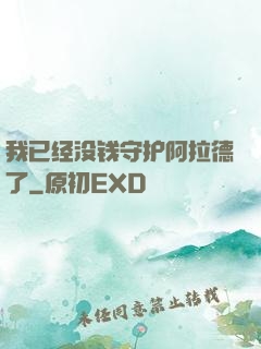 我已经没钱守护阿拉德了