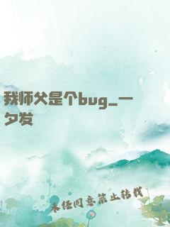 我师父是个bug