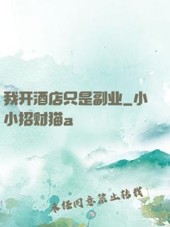 我开酒店只是副业