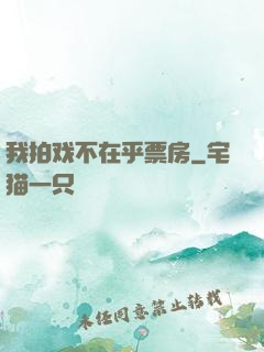 我拍戏不在乎票房