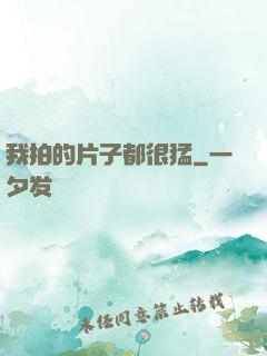 我拍的片子都很猛