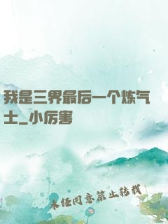 我是三界最后一个炼气士