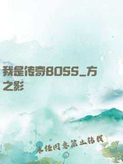 我是传奇BOSS
