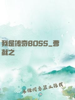 我是传奇BOSS