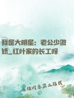 我是大明星：老公少傲娇