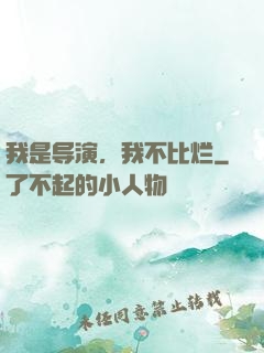 我是导演，我不比烂
