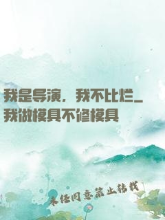 我是导演，我不比烂