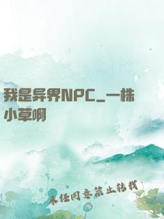 我是异界NPC