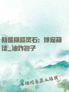 我是极品灵石：爆宠萌徒