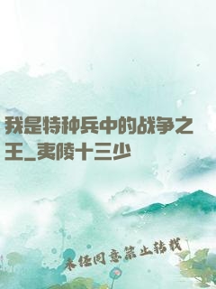 我是特种兵中的战争之王