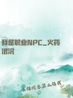 我是职业NPC