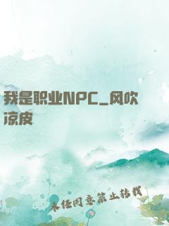 我是职业NPC