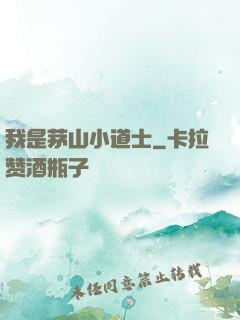 我是茅山小道士