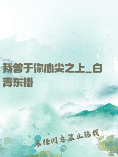 我曾于你心尖之上