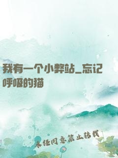我有一个小弊站