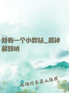 我有一个小弊站