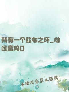 我有一个欧布之环