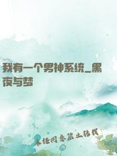 我有一个男神系统